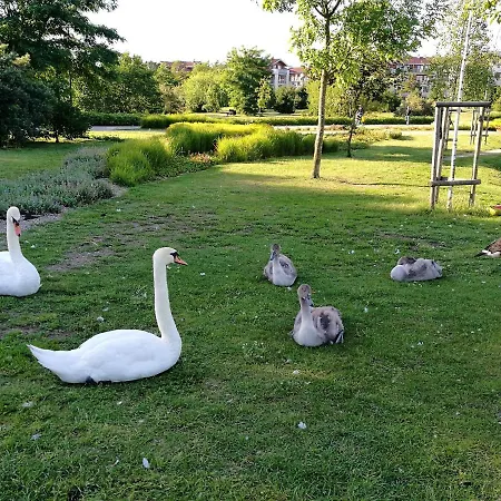 Atapartments - 3rooms Appartement *